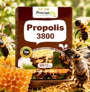프로폴리스 3800